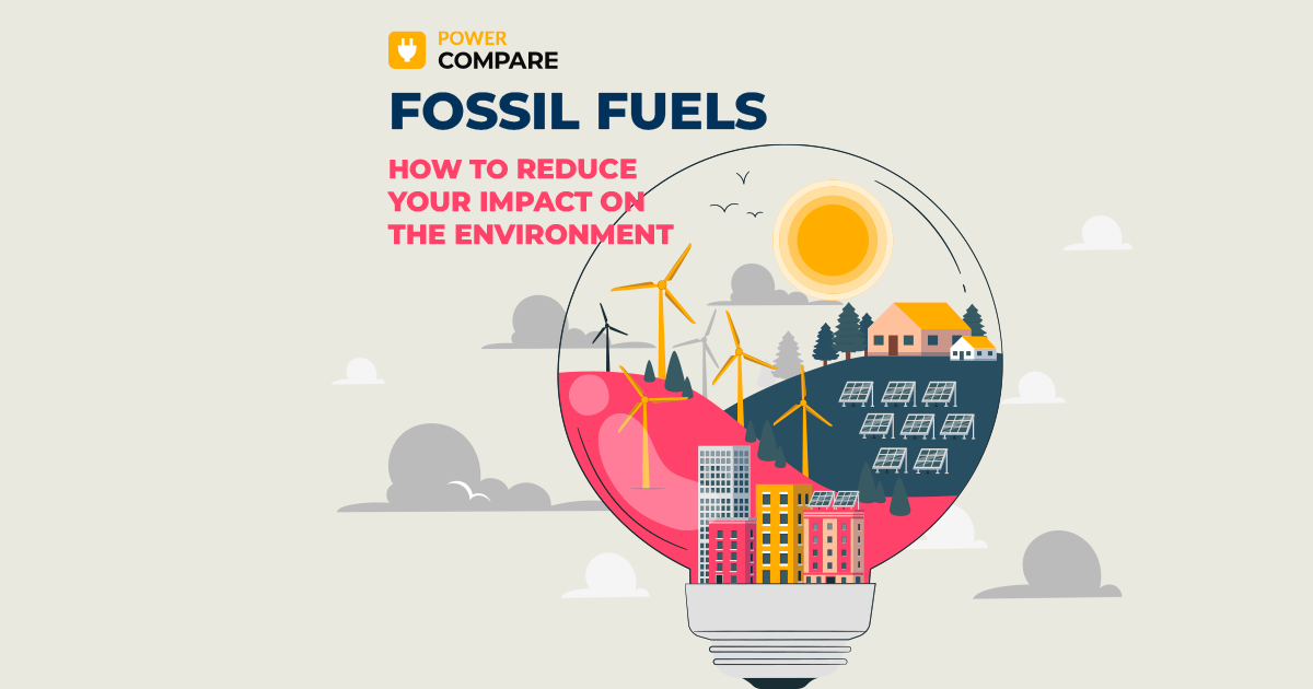 Fossil Fuels And How To Reduce Your Impact On The Environment kidneys-and-blood-pressure-connection-medivizor